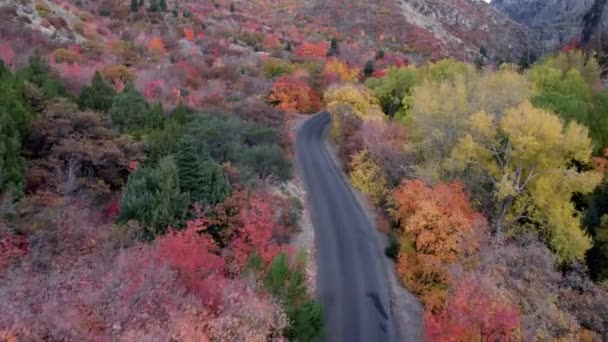 Veduta Aerea Della Strada Montagna Con Alberi Colorati Nella Foresta — Video Stock