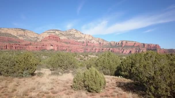 Wild Desert Arizona Usa — Stock video