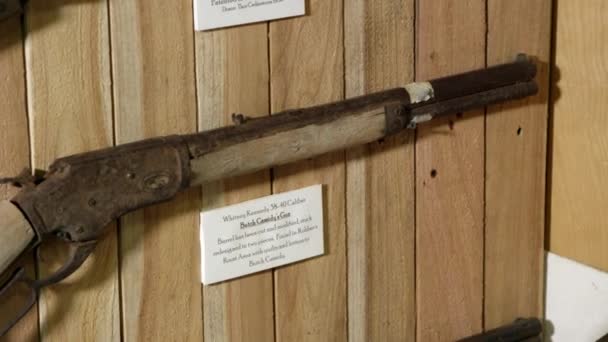 历史博物馆的旧武器 — 图库视频影像