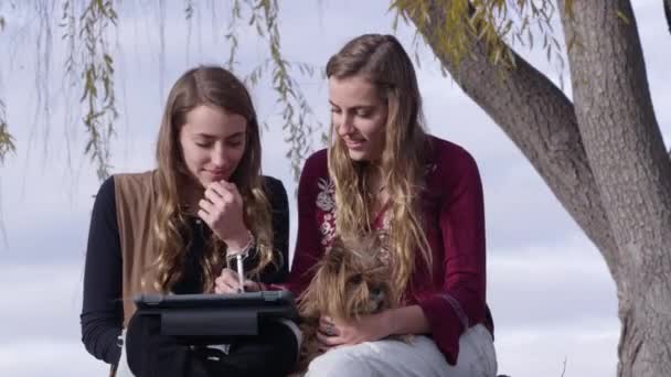 Irmãs Gêmeas Está Usando Ipad Sob Árvore Grande — Vídeo de Stock