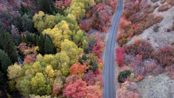 Vista Aérea Carretera Las Montañas Con Árboles Colores Bosque — Vídeos de Stock