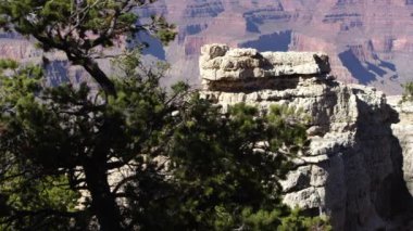 Wild desert in Arizona, USA