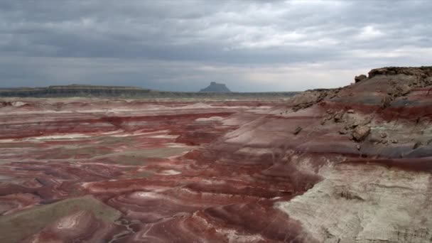 Wild Desert Utah Usa — Stok video