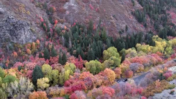 Vista Aérea Montañas Con Bosque Colorido — Vídeos de Stock