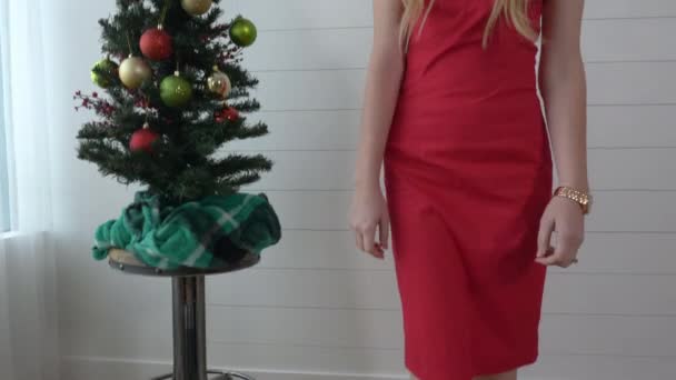 Vacker Kvinna Poserar Nära Julgran — Stockvideo