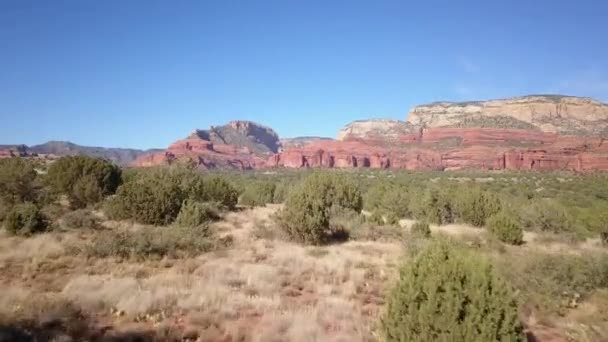 Wild Desert Arizona Usa — ストック動画