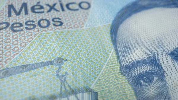 Veinte Pesos 'un Macro tasarısı ayrıntıları gösteriyor.