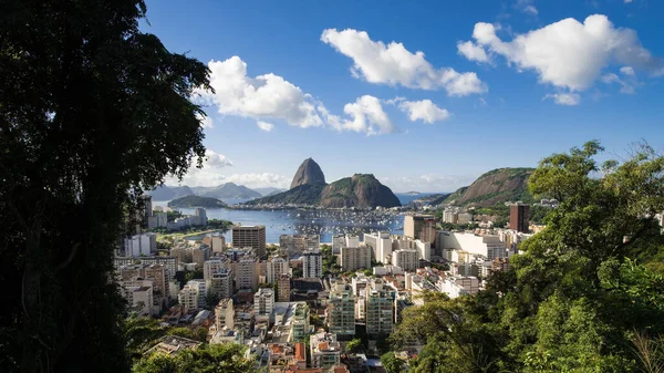Sugarloaf Mountain Rio Janeirossa Katselee Kaupungin Yli Puiden Välissä Rinteellä — kuvapankkivalokuva