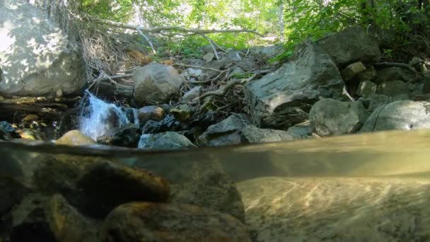 Por Encima Por Debajo Vista Pequeño Río Con Poca Cascada — Vídeo de stock