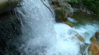 American Fork Canyon 'daki Utah dağ nehrindeki şelalenin kıyısına bakıyorum..