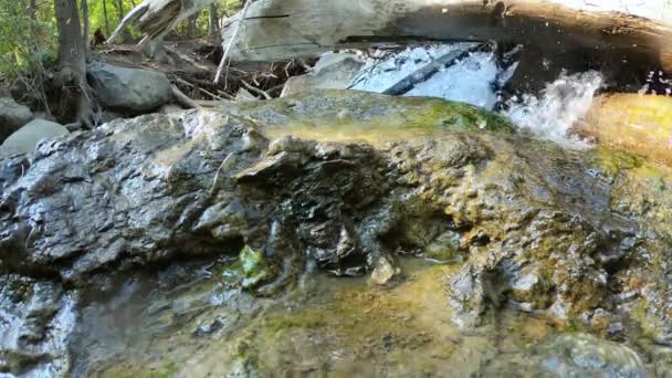Νερό Πιτσιλίζει Μέσα Από Μαρμελάδα Κούτσουρο Στο Ποτάμι Γυρίσματα Σταγονίδια — Αρχείο Βίντεο