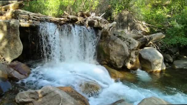 Zpomalený Vodopád Tekoucí Proudu Horách Utah American Fork Canyon — Stock video