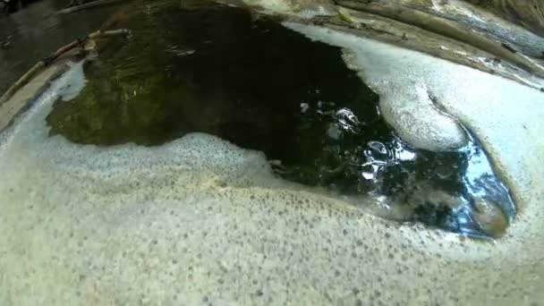 Piana Powierzchnia Wody Porusza Się Wodzie Pod Wodą Aby Zobaczyć — Wideo stockowe