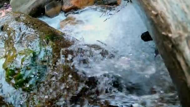 Air Yang Mengalir Melalui Kayu Tersangkut Sungai Atas Air Terjun — Stok Video