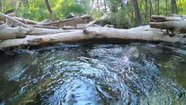 Kilátás Folyó Felett Víz Alatt Halad Lefelé Miközben Víz Rönkdugóba — Stock videók