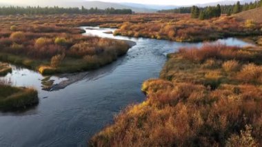 Montana 'da Madison Nehri' nin üzerinde uçarken Sonbahar boyunca altın renkleri görmek.
