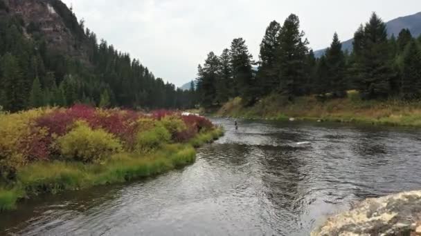 Volando Sobre Río Madison Como Persona Está Pie Pesca Con — Vídeo de stock