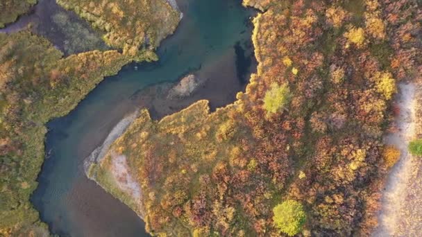 Looking Aerial View Madison River Winding Colorful Brush Fall Montana — Stock Video