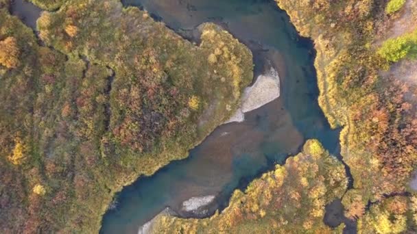 Widok Lotu Pędzla Madison River Jesiennym Kolorze — Wideo stockowe