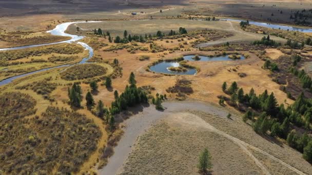 Aerial View Madison River Winding Landscape Montana Sunny Day — Stock Video