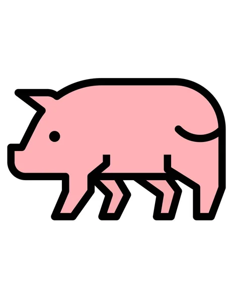 猪图标矢量插图 — 图库矢量图片