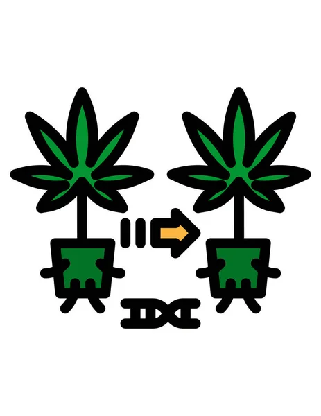 大麻のアイコンセット ベクターイラスト — ストックベクタ