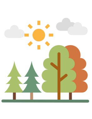 Parktaki ağaçlar ve bitkiler