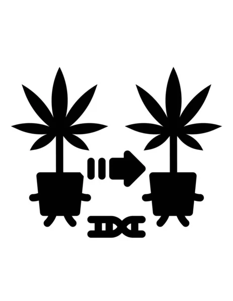 Ilustración Vectorial Plantas Cannabis — Vector de stock