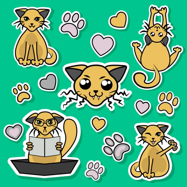 Şirin zencefil kedi ile sopa kümesi