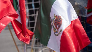 Üzerinde kuş olan kırmızı, beyaz ve yeşil bir bayrak. Bayrak çitte asılı.