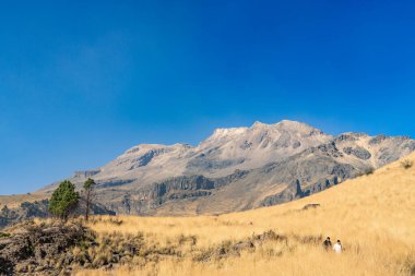 A mountain range with a clear blue sky in the background. The mountain range is covered in grass and trees. Iztacihuatl popocatepetl volcano mexico,