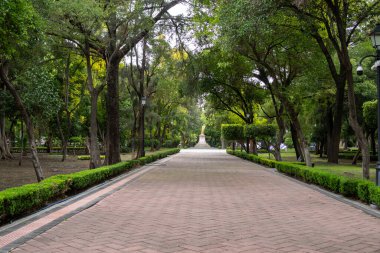 A brick walkway with trees lining the sides. The walkway is empty and the trees are green. Historic center of Queretaro City, decorations and traditions to celebrate Mexico's Independence Day, colonial architecture, alleys and facades