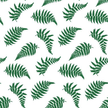 Vektör desen çizim fern yaprak