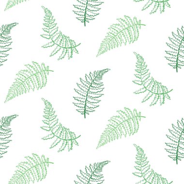 Vektör desen çizim fern yaprak
