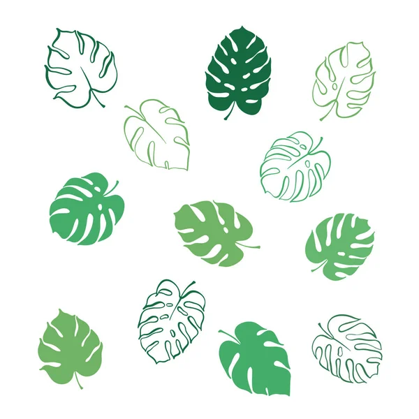 Ilustración vectorial de hojas de monstera — Archivo Imágenes Vectoriales