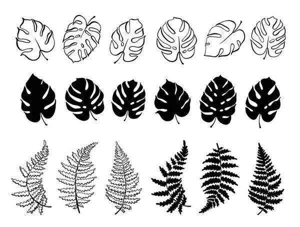 Ilustración vectorial de helechos y hojas de monstera — Archivo Imágenes Vectoriales