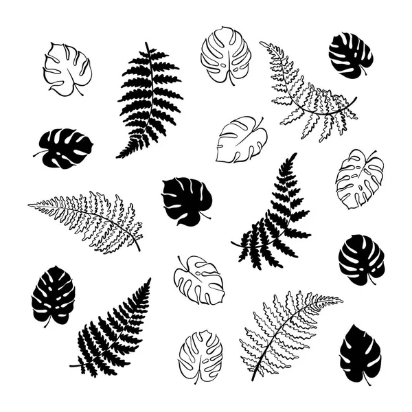 Ilustración vectorial de helechos y hojas de monstera — Archivo Imágenes Vectoriales