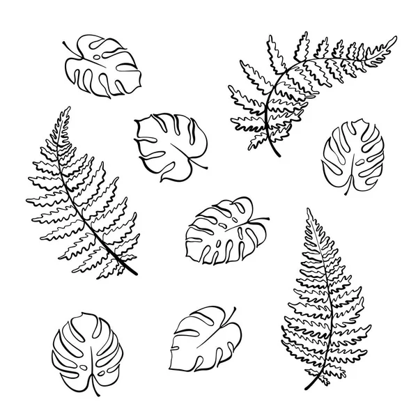 Ilustración vectorial de helechos y hojas de monstera — Archivo Imágenes Vectoriales