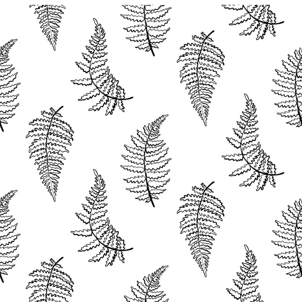 Ilustración del patrón vectorial de la hoja de helecho — Archivo Imágenes Vectoriales