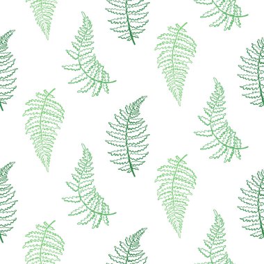Vektör desen çizim fern yaprak