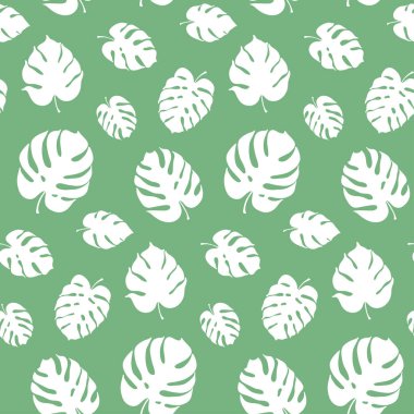 Monstera yaprak vektör botanik çizim