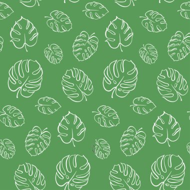 Monstera yaprak vektör botanik çizim