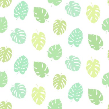 Monstera yaprak vektör botanik çizim