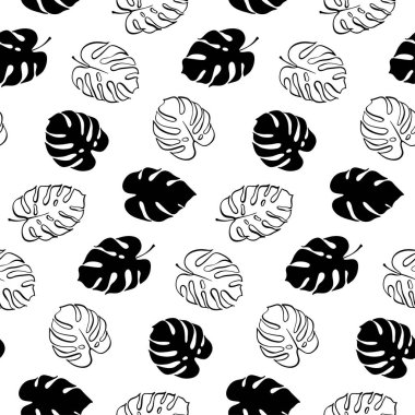 Monstera yaprak vektör botanik çizim