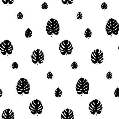 Monstera yaprak vektör botanik çizim