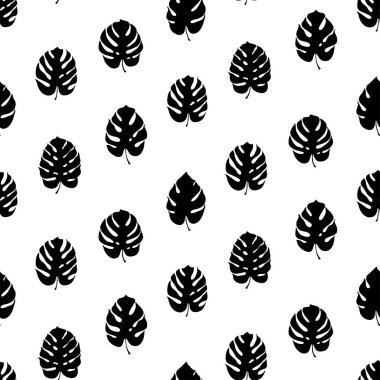 Monstera yaprak vektör botanik çizim