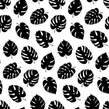 Monstera yaprak vektör botanik çizim