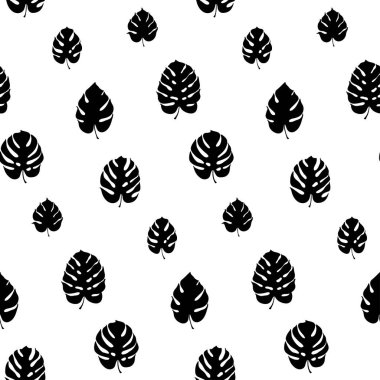 Monstera yaprak vektör botanik çizim