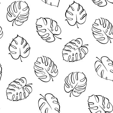 Monstera yaprak vektör botanik çizim