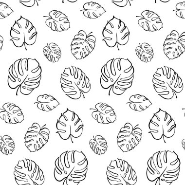 Monstera yaprak vektör botanik çizim